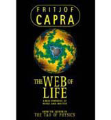 THE WEB OF LIFE (Paperback)